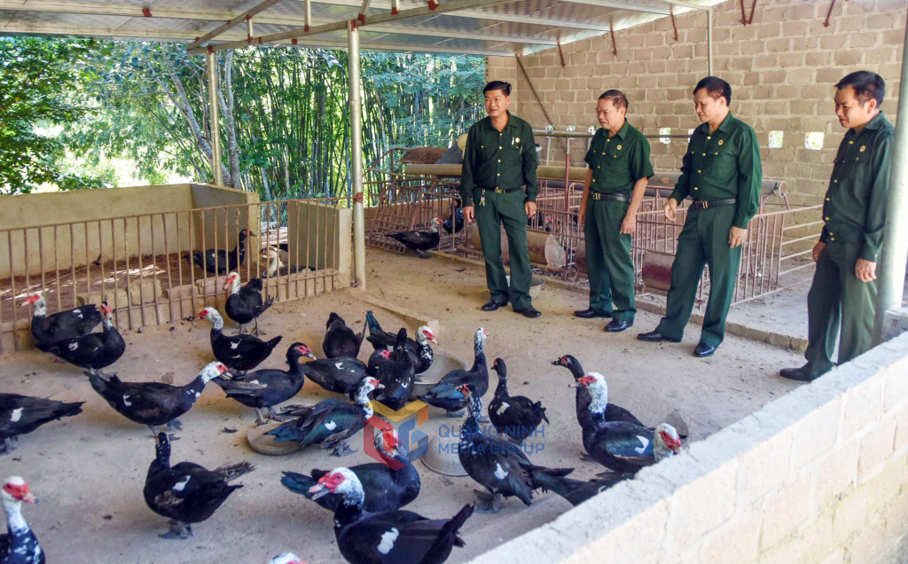 Hội CCB huyện Vân Đồn thăm mô hình kinh tế trang trại cho hiệu quả kinh tế cao của CCB Liêu Văn Dưỡng thôn Đầm Tròn (xã Bình Dân, huyện Vân Đồn).