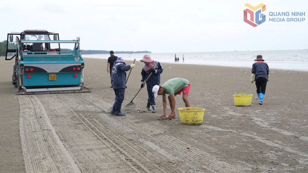 Nhân viên BQL Khu du lịch Trà Cổ nhặt rác thải làm sạch bãi biển Trà Cổ