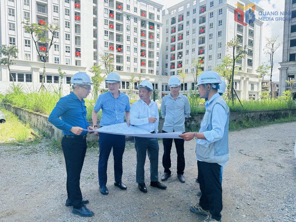 Chủ đầu tư dự án nhà ở xã hội tại quỹ đất 20% khu đô thị tại phường Cao Xanh, giai đoạn 1 đôn đốc đẩy nhanh tiến độ. Ảnh: Cao Quỳnh