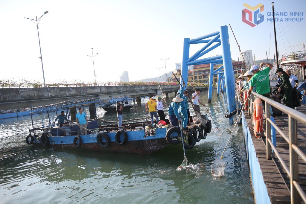 Cảng tàu khách Quốc tế Hạ Long phối hợp cùng Chi hội tàu du lịch Hạ Long phát động chương trình Chung tay hành động “Vì một Hạ Long xanh”.