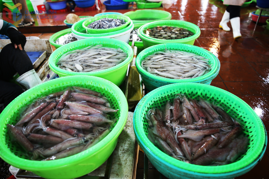 Các mặt hàng hải sản tại chợ phong phú, đa dạng, đáp ứng nhu cầu của người dân.