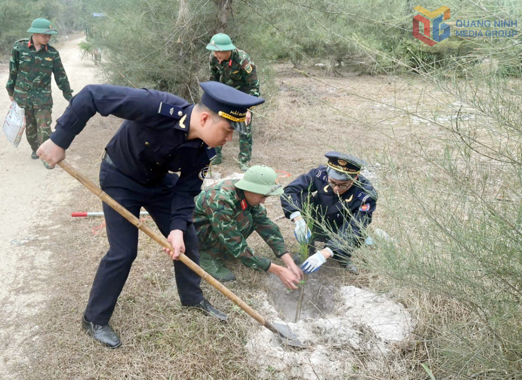 Các đơn vị tham gia trồng cây phi lao khu vực ven biển xã Vĩnh Thực nhằm tạo mảng xanh trên địa bàn xã.