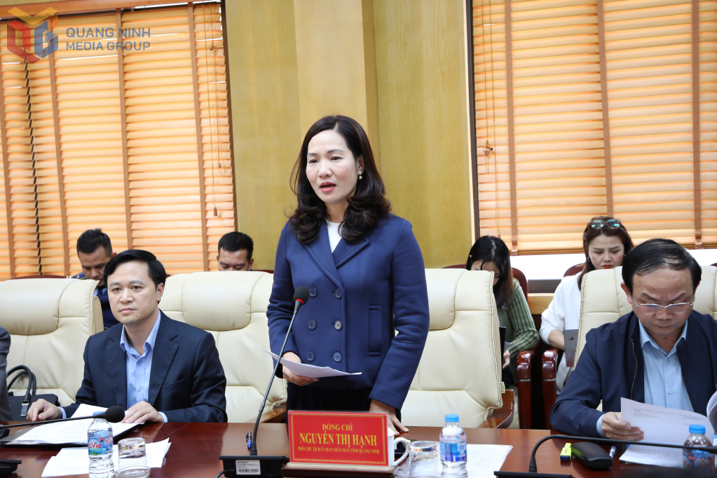 Đồng chí Nguyễn Thị Hạnh, Phó Chủ tịch UBND tỉnh phát biểu tại buổi làm việc.