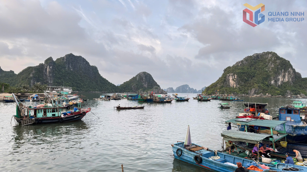 Tàu thuyền neo đậu an toàn tại khu vực cảng Cái Rồng (đặc khu Vân Đồn).