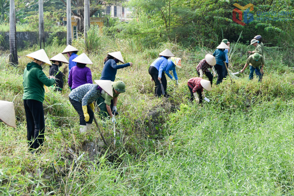Một buổi ra quân dọn vệ sinh môi trường của cán bộ, nhân dân khu phố 3, phường Hà Tu, hưởng ứng phong trào Ngày Chủ nhật xanh.