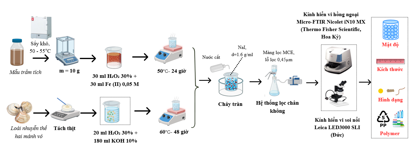 Phương pháp phân tích mẫu vi nhựa trong trầm tích và sinh vật