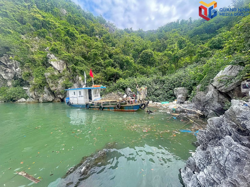 Lực lượng chức năng thu gom rác thải trôi nổi trên vịnh Hạ Long. bqn_tr_a2.jpg